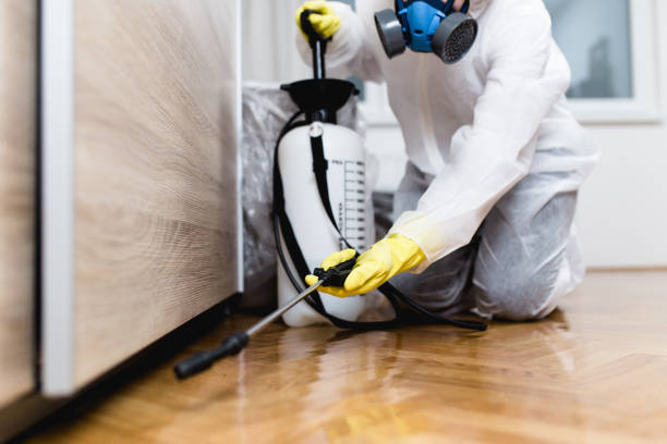 Professional Pest Control in Gallup, NM
