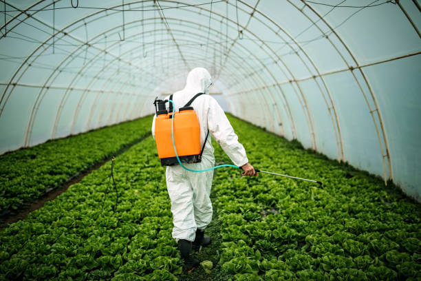 Best Pest Control Cost  in Gallup, NM