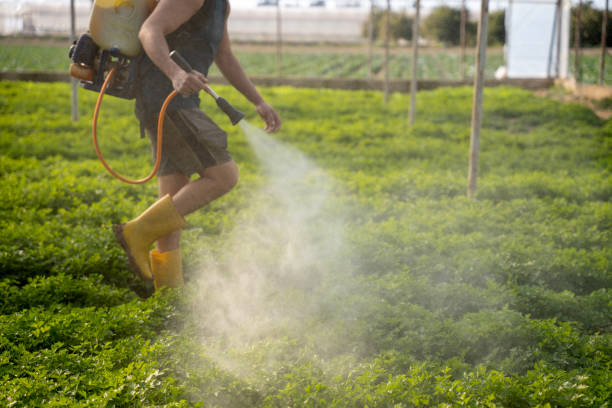 Best Wildlife Control Services  in Gallup, NM